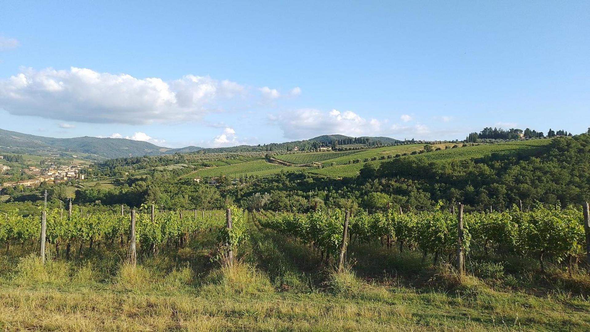 La Turra - Casa Di Campagna Greve in Chianti Exterior photo
